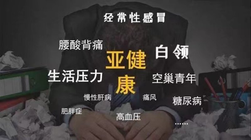 中医养生：新时代的健康秘方